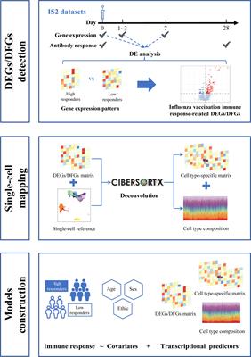 Leveraging baseline transcriptional features and information from single-cell data to power the prediction of influenza vaccine response